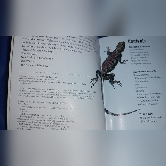 Scholastic National Audubon First Field Guide Reptiles, Insects, and Mammals - Picture 10 of 16